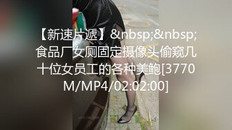 我是探索者 2