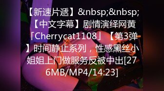 【新速片遞】&nbsp;&nbsp; 【中文字幕】剧情演绎网黄「Cherrycat1108」【第3弹】时间静止系列，性感黑丝小姐姐上门做服务反被中出[276MB/MP4/14:23]