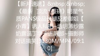 IDG5423 爱豆传媒 我的反差婊相亲对象