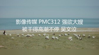 影像传媒 PMC312 强欲大嫂被干得高潮不停 吴文泣