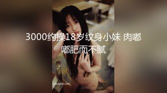 3000约操18岁纹身小妹 肉嘟嘟肥而不腻