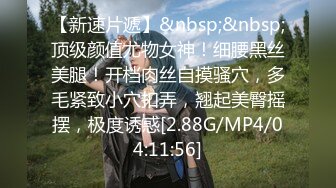 [MP4/100MB] 33岁骚货面部表情太到位了，骑乘，甩奶子，骚货：哇哇哇、爽不爽，爽不爽。骑得这么骚，肯定爽呐！