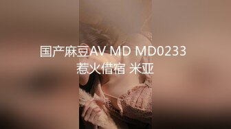 国产麻豆AV MD MD0233 惹火借宿 米亚