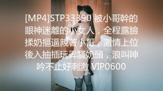 情趣房女仆炮友3