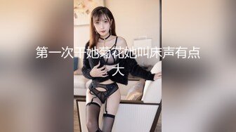 歌厅探花KTV唱唱歌啪啪啪，边唱歌躺在身材揉奶，拨开内裤摸逼，深喉口交活不错，沙发上抽插猛操