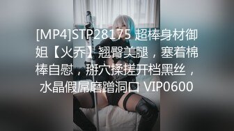 欧美御姐 少女2打一系列Kinky.in.laws.1080P合集【23V】 (7)