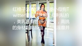 探花约到一名配合度超高的美乳小姐姐于是各种姿势硬核啪啪，乳交、69、骑乘、后入、公狗插桩