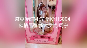 麻豆传媒MKY MKYHS004 催情民宿 新人女优 周宁