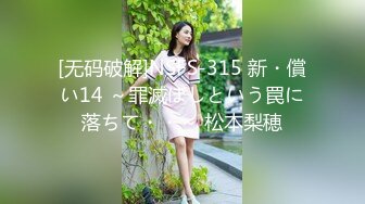 [无码破解]NSFS-315 新・償い14 ～罪滅ぼしという罠に落ちて・・～ 松本梨穂