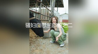 骚妇自慰三部曲之二