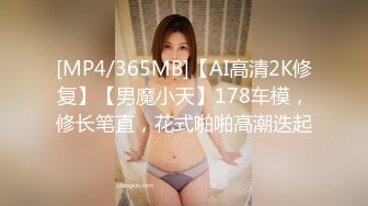 海景房里的完美性爱