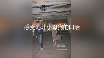 玩前任的骚逼