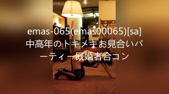 emas-065(emas00065)[sa]中高年のトキメキお見合いパーティー既婚者合コン