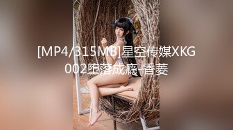 [MP4/315MB]星空传媒XKG002堕落成瘾-香菱