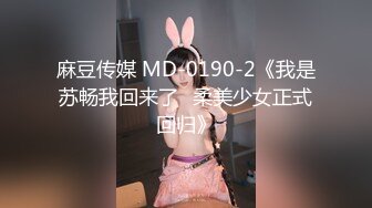 麻豆传媒 MD-0190-2《我是苏畅我回来了⭐柔美少女正式回归》