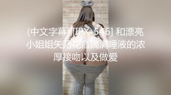 蜜桃传媒 PM028 空姐美女高挑身材穿着制服开档黑丝