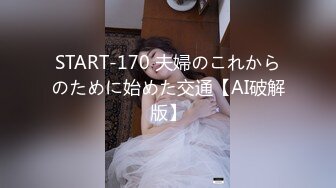 START-170 夫婦のこれからのために始めた交通【AI破解版】