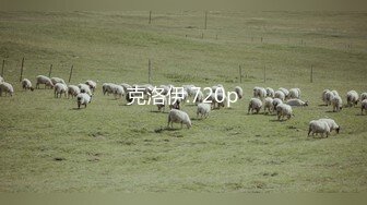 克洛伊.720p