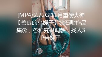 [MP4/2.72G]11月重磅大神【善良的小嫂子】钻石贴作品集⑤，各种究极调教，找人3P亲嫂子