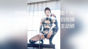 【新片速遞】熟女妈妈 人妻3P 内敛的少妇 奔放的妈妈 不知你更喜欢哪一款[196MB/MP4/03:22]