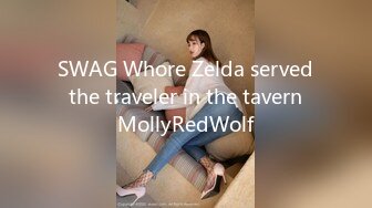 SWAG Whore Zelda served the traveler in the tavern MollyRedWolf