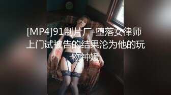 喜欢打桩的女骑士