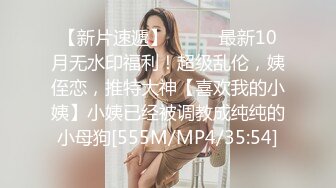 SH-013女优面试日记-吴心语