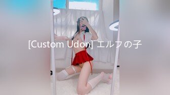 [Custom Udon] エルフの子