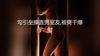 PRED-682 巨乳黑絲女上司喝醉還誤喝春藥讓我狂插內射成炮友(AI破壞版)