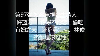 第97弹 知名电视台主持人❤️许蓝方❤️惊爆不伦恋！偷吃有妇之夫，还称吴宗宪、林俊杰都追求过她