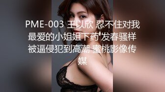 PME-003 王以欣 忍不住对我最爱的小姐姐下药 发春骚样被逼侵犯到高潮 蜜桃影像传媒