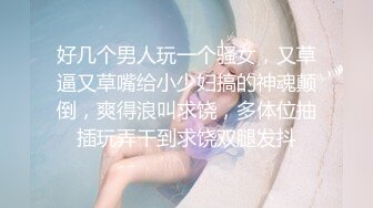 《极品CP重磅泄密》厕拍达人景区女公厕偸拍后续9 各种高质量气质小姐姐方便~姿态百出赏逼赏脸有美女有极品逼 (11)