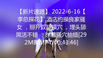 【新片速遞】 2022-6-16【李总探花】 酒店约操良家骚女 ，掰开双腿摸穴 ，埋头舔屌活不错 ，怼着骚穴抽插[292MB/MP4/00:43:46]