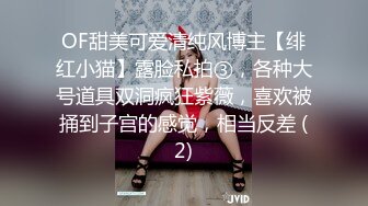 良家气质美少妇趁老公出差兼职做楼凤表情享受