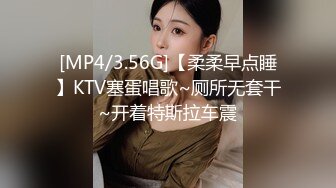 [MP4/3.56G]【柔柔早点睡】KTV塞蛋唱歌~厕所无套干~开着特斯拉车震