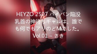 HEYZO 2507 パイパン陥没乳首の神待ちギャルは、誰でも何でもアリのどMでした。Vol.01 – さき