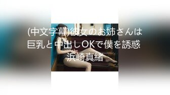 (中文字幕)彼女のお姉さんは巨乳と中出しOKで僕を誘惑 浜崎真緒