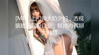 [MP4]上门操大奶少妇，透视装翘起屁股口交，脱掉内裤掰穴特写