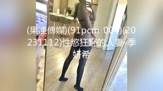 (果凍傳媒)(91pcm-004)(20231112)性慾狂野的人妻-季妍希