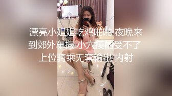 漂亮小姐姐吃鸡啪啪 夜晚来到郊外车振 小穴摸的受不了 上位骑乘无套输出 内射