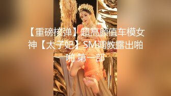 【重磅核弹】超高颜值车模女神【太子妃】SM调教露出啪啪 第一部