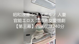 昭和浪漫 シネマポルノ 人妻官能エロス 濃厚熟女愛憎劇【第三幕】四話収録240分