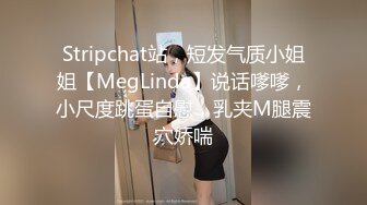 [MP4]麻豆传媒-窃贼误闯阴道内 E奶贵妇强上傻小贼 巨乳新人钟丽琪