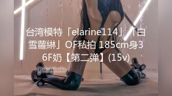 台湾模特「elarine114」「白雪蘿綝」OF私拍 185cm身36F奶【第二弹】(15v)