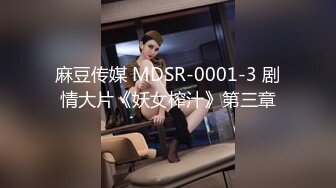 麻豆传媒 MDSR-0001-3 剧情大片《妖女榨汁》第三章