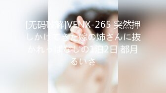 [无码破解]VENX-265 突然押しかけてきた嫁の姉さんに抜かれっぱなしの1泊2日 都月るいさ