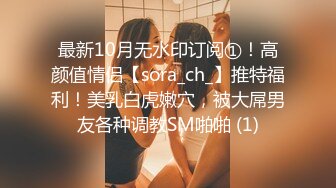 最新10月无水印订阅①！高颜值情侣【sora_ch_】推特福利！美乳白虎嫩穴，被大屌男友各种调教SM啪啪 (1)