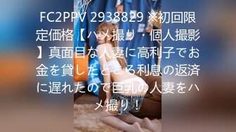 FC2PPV 2938829 ※初回限定価格【ハメ撮り・個人撮影】真面目な人妻に高利子でお金を貸したところ利息の返済に遅れたので巨乳の人妻をハメ撮り！