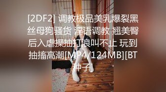 [2DF2] 调教极品美乳爆裂黑丝母狗骚货 淫语调教 翘美臀后入虐操抽打浪叫不止 玩到抽搐高潮[MP4/124MB][BT种子]