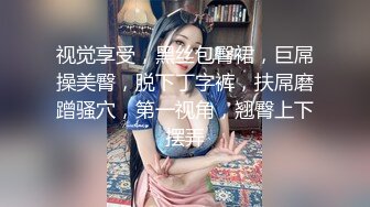 视觉享受，黑丝包臀裙，巨屌操美臀，脱下丁字裤，扶屌磨蹭骚穴，第一视角，翘臀上下摆弄